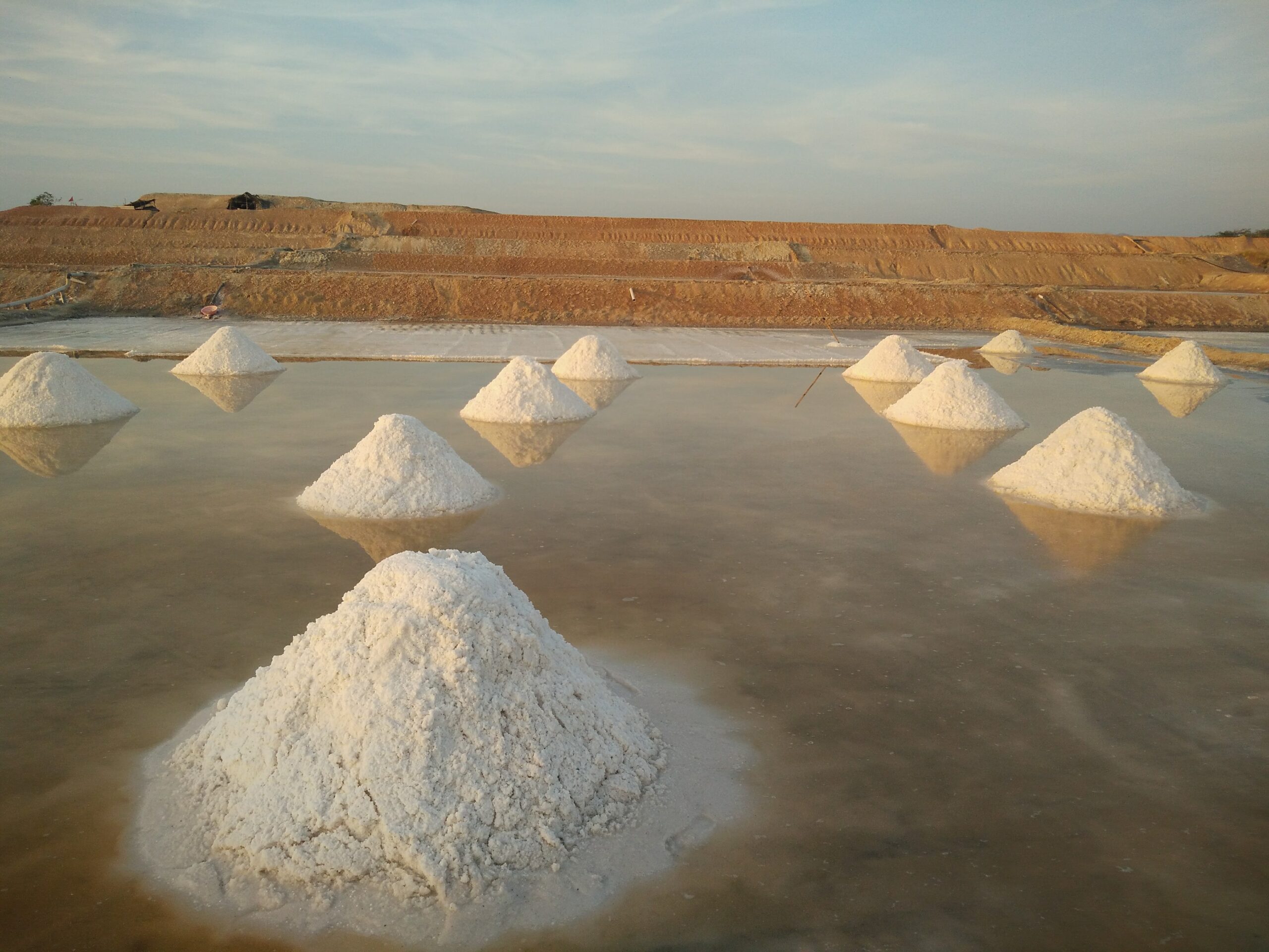 Shree Traders: A Tradition of Purity and Excellence in Salt Manufacturing